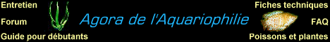 Agora_Ani2.gif